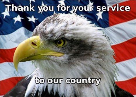 Picture of Bald Eagle in front of the American flag with text that says Thank you for your service to our country